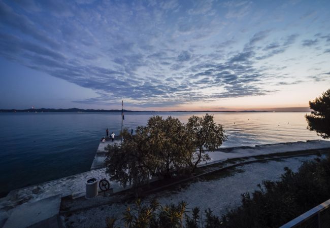 Ferienwohnung in Zadar - Villa Leda- apartment with private pool and garden Ferienwohnung in Zadar - Villa Leda- apartment with private pool and garden