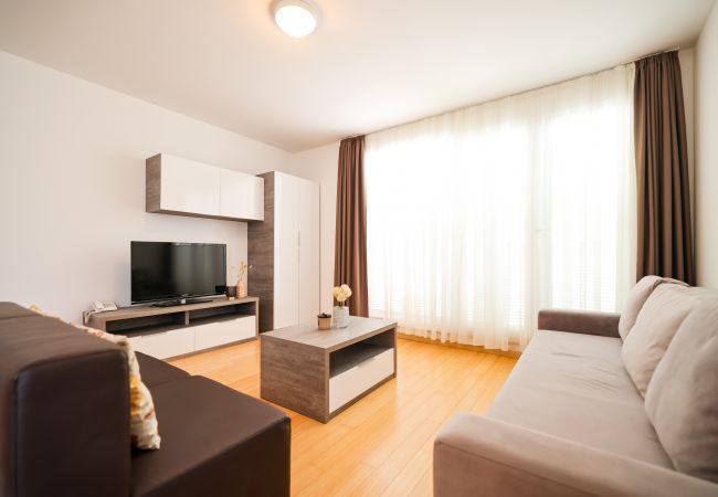 Ferienwohnung in Petrcane - Dok Apartment Ferienwohnung in Petrcane - Dok Apartment