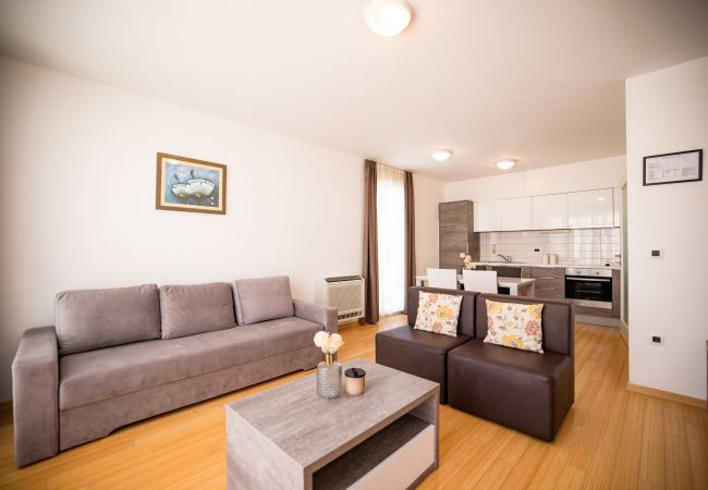 Ferienwohnung in Petrcane - Dok Apartment Ferienwohnung in Petrcane - Dok Apartment