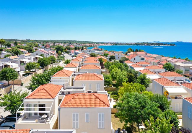 Ferienwohnung in Petrcane - Dok Apartment Ferienwohnung in Petrcane - Dok Apartment