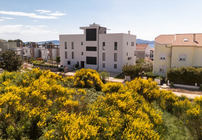 Ferienwohnung in Zadar - ROOFTOP 51 Ferienwohnung in Zadar - ROOFTOP 51