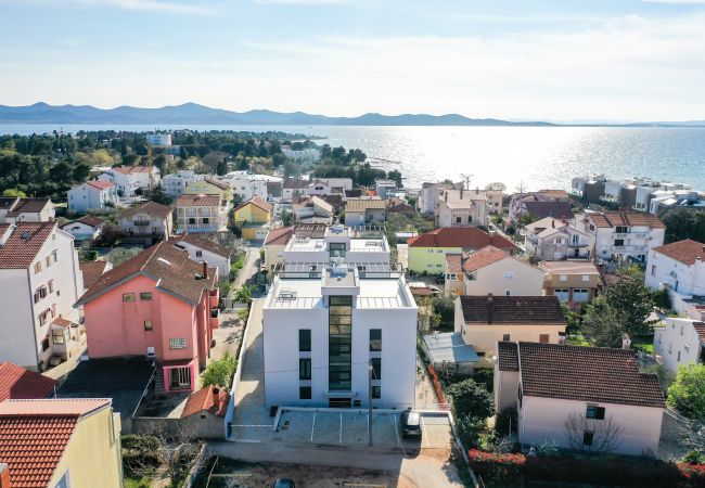 Apartment in Zadar - Adria Concept boutique apartments-A4 Pleasure Plac Apartment in Zadar - Adria Concept boutique apartments-A4 Pleasure Plac