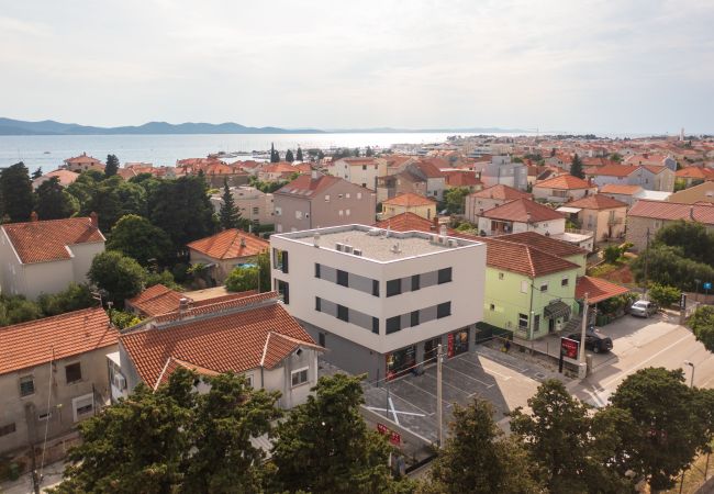 Apartment in Zadar - Mistral Retreat Zadar- Apartment A1 Apartment in Zadar - Mistral Retreat Zadar- Apartment A1
