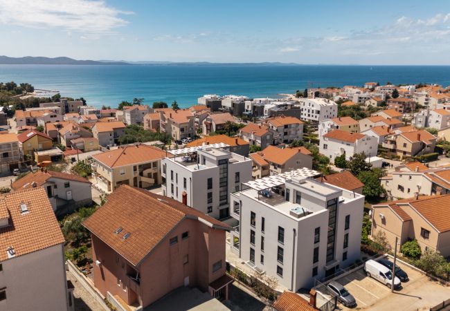 Apartment in Zadar - Skyline Serenity: Zadar's Premier Roof Terrace Apartment in Zadar - Skyline Serenity: Zadar's Premier Roof Terrace