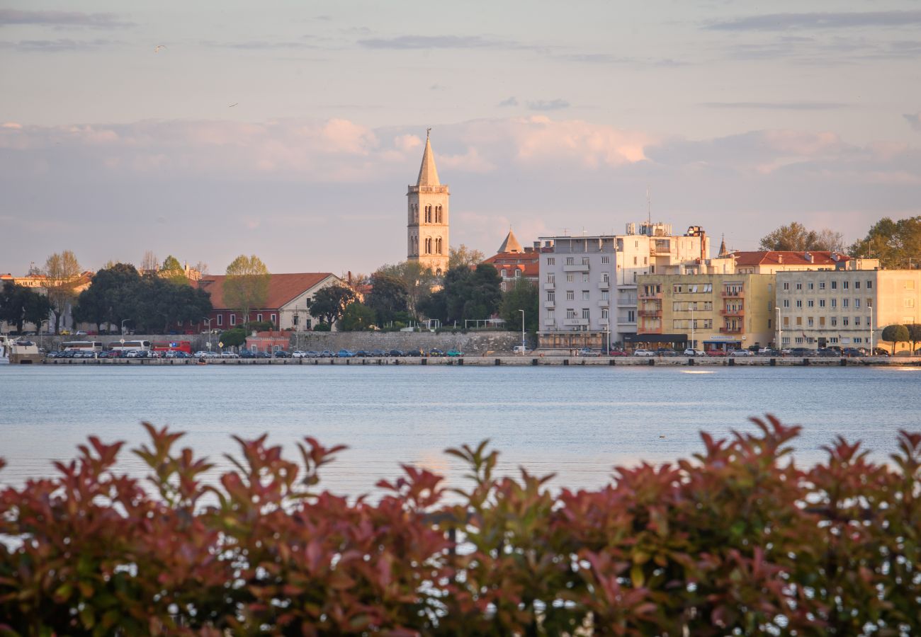 Apartment in Zadar - The Designer Luxe Apartment